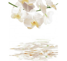 Шторка для ванной фотопринт "Орхидея белая" 180х180 без колец