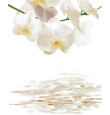 Шторка для ванной фотопринт "Орхидея белая" 180х180 без колец